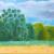 Im Feld von