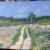 Sonnige Landschaft von Neshka