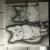 Catss von Charline