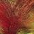Explosion von Paul
