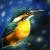Eisvogel von