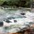 Flusslandschaft von