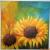Sonnenblumen von riwej