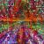 colourful peace von donphil