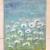 Blumenwiese 2 von