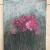 Blumenwiese 3 von