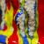 Streaming Colours von Niklas What