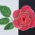 Rose von