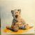 Tiger Woody von
