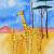 Giraffen von