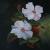 Wild Roses von