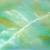 skyfall von redfox