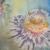 Blumen von Theo