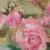 Rosen von Theo