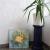 gold dust von