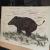 Wildschwein laufend von