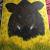Wildschwein im Rapsfeld von