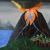 "Leben der Natur" von Artist of the hands