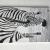 Zebra - African Animal von BestOfArts
