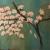 Magnolien von S.P.
