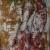 JUDAS. BETRAYING. von RoMana