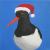 Xmas-Austernfischer von pattex