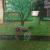 Bluhm im Garten2 von