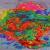 Tnab--q-0290--8K--FV1.jpg von Tom Timeless