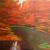 Herbst im Weiherwald von