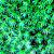 Green Leafs von Bronson
