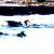 Surfing von Bronson