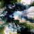 Mixed realities 3 von W.Ritter