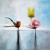 Meager table von Reni's Art