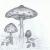 Parasol Pilz von