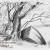 1993_08_15 Gewässer mit Baum und Kahn Bleistift 188x137mm (05) von