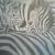 Zebras von