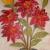 Fantasieblume 1 von juhei