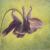 Columbine von Rose Paddington