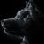 Shadow von Wolf Werner