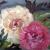 2Rosen 1 von