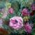 Some Roses von
