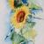Sonnenblumen von