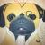 Mops von