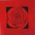 Acrylbild Rote Rose von galerie-rosa