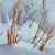Winteraquarell von galerie-rosa