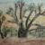 AUSTRALIEN von