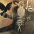 Viking and Raven von Anaria