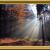 Herbstlicht von Reubild