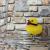 Dirty Duck von Emma Wildfang