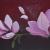 Magnolie von BiggiCreativ
